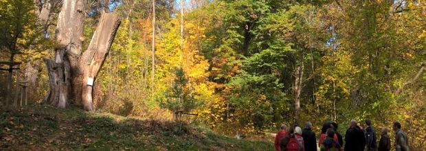 Böfinger Waldbegehung 2018